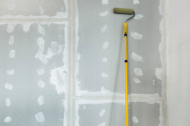 Best Mold Remediation for Healthcare Facilities  in Hudson, WI