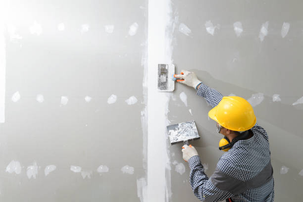 Best Mold Remediation for Healthcare Facilities  in Hudson, WI