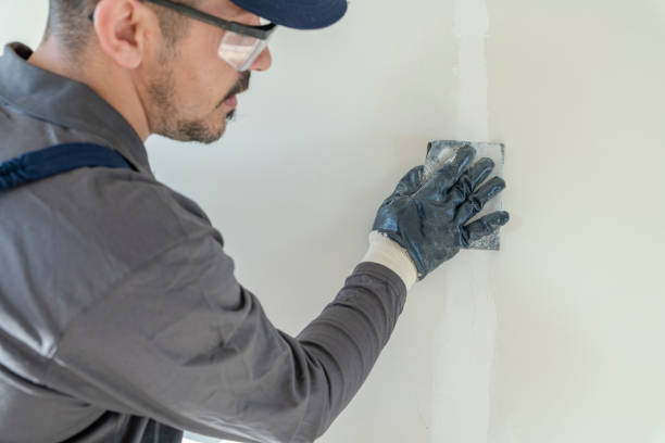 Best Air Quality Testing for Mold Spores  in Hudson, WI