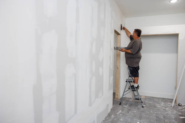 Best Mold Prevention Services  in Hudson, WI