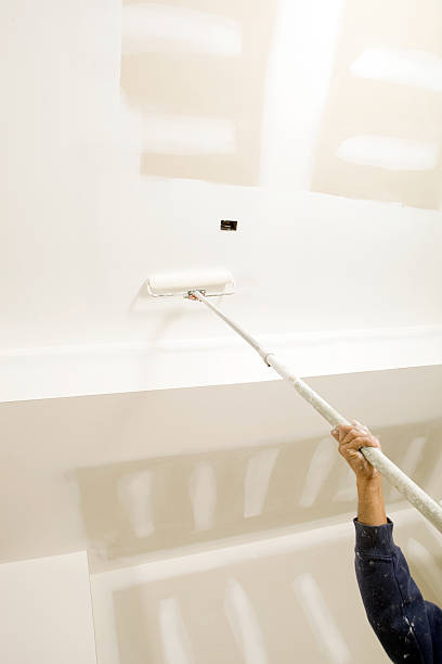 Best Industrial Mold Remediation  in Hudson, WI