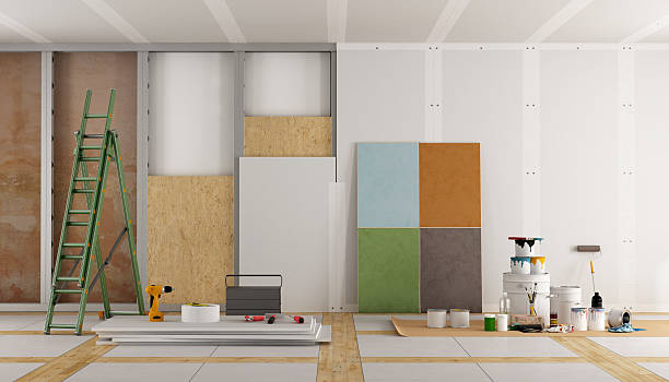 Professional Mold Removal in Hudson, WI