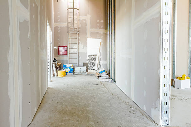 Best Forensic Mold Investigation  in Hudson, WI