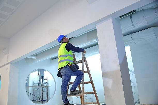 Best Crawl Space Mold Remediation  in Hudson, WI